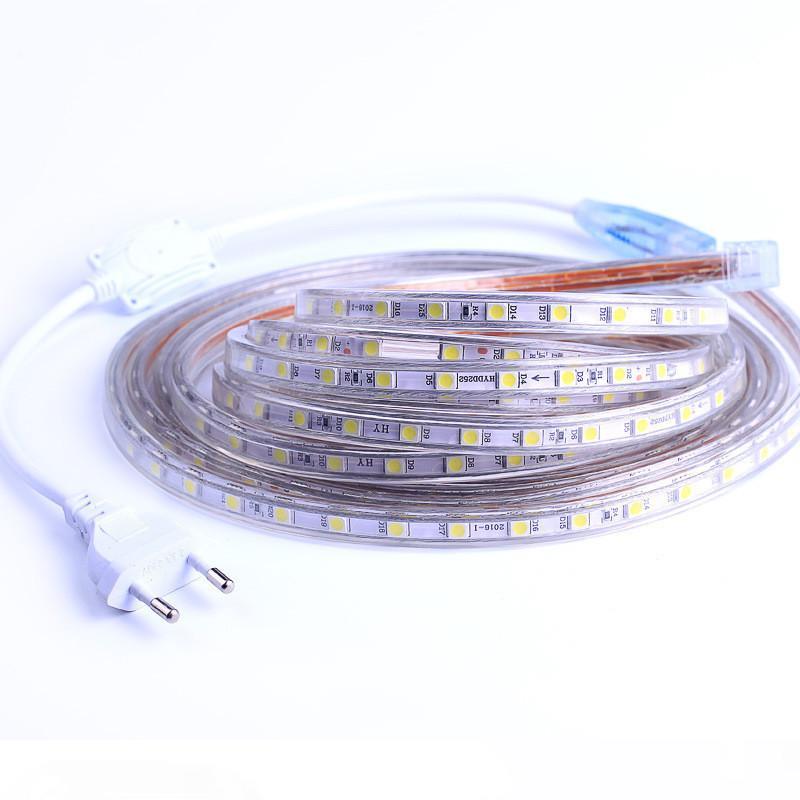 1-10M 220V EU Plug SMD5050 Flexible Waterproof LED Strip Lights for Home Decoration