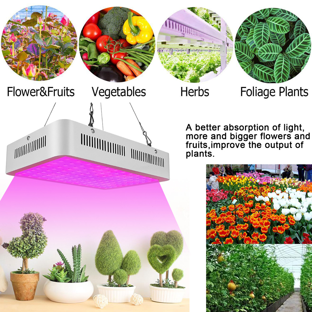 1200W Full Spectrum LED Grow Light with Dual Chips for 380-730nm Plant Growth
