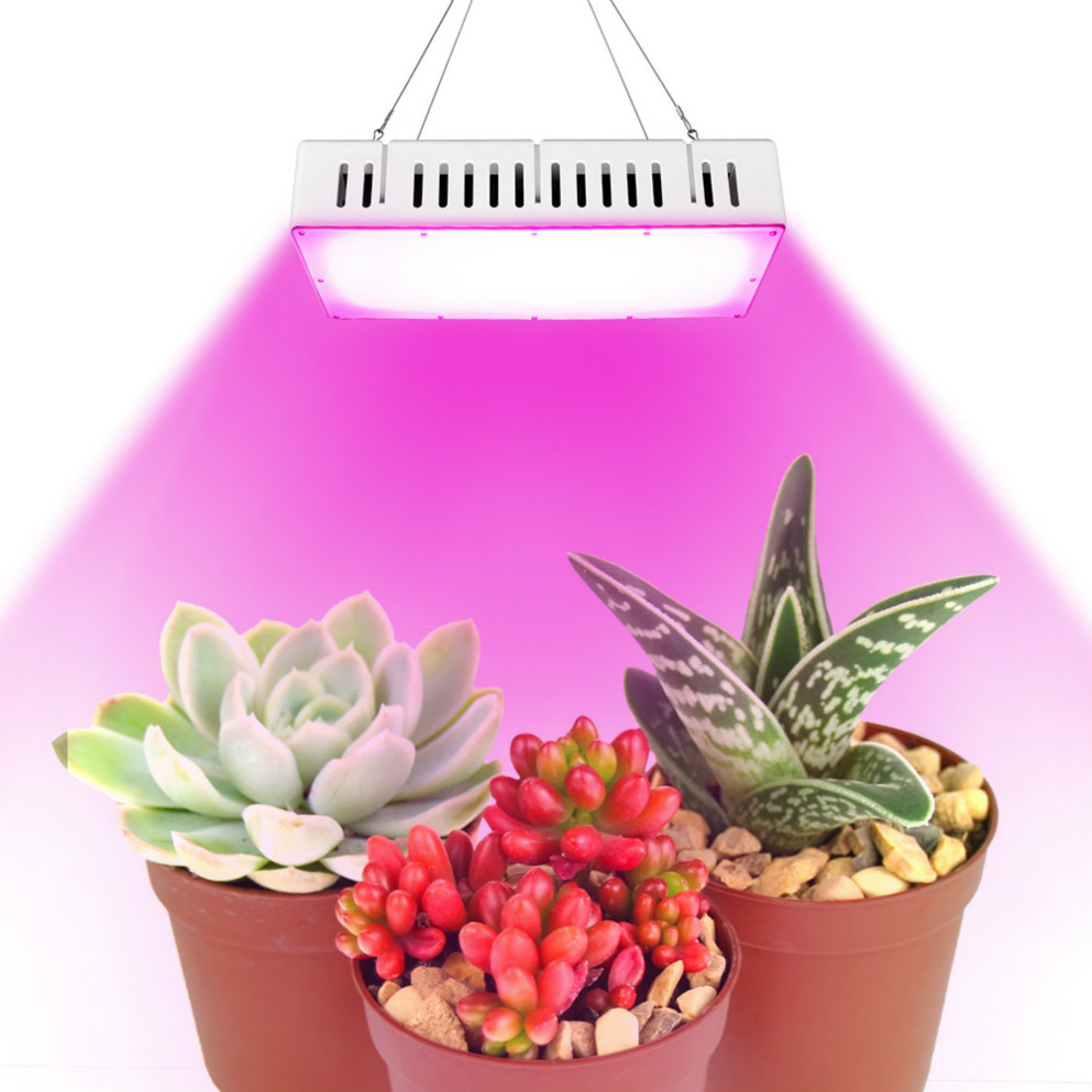 1500W full-spectrum LED grow light featuring ultra-quiet dual fans for gardens, providing red, blue, yellow, white, infrared and UV light