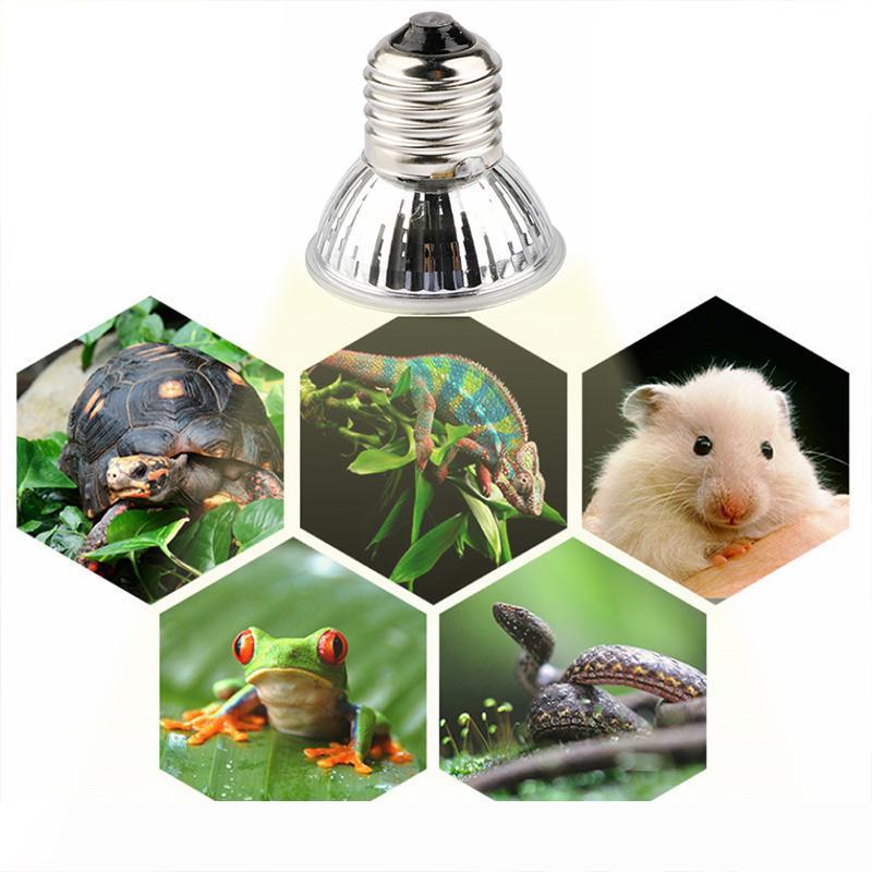 25-75W UVA+UVB 3.0 reptile basking bulb for turtles and lizards with temperature control