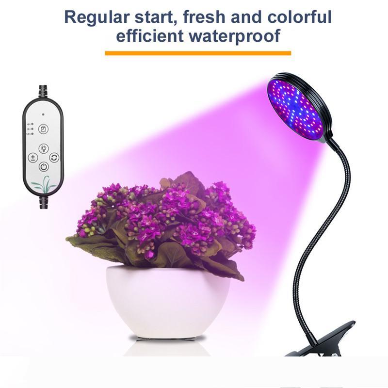 360-degree rotating LED plant lamp with 5 modes for enhanced photosynthesis