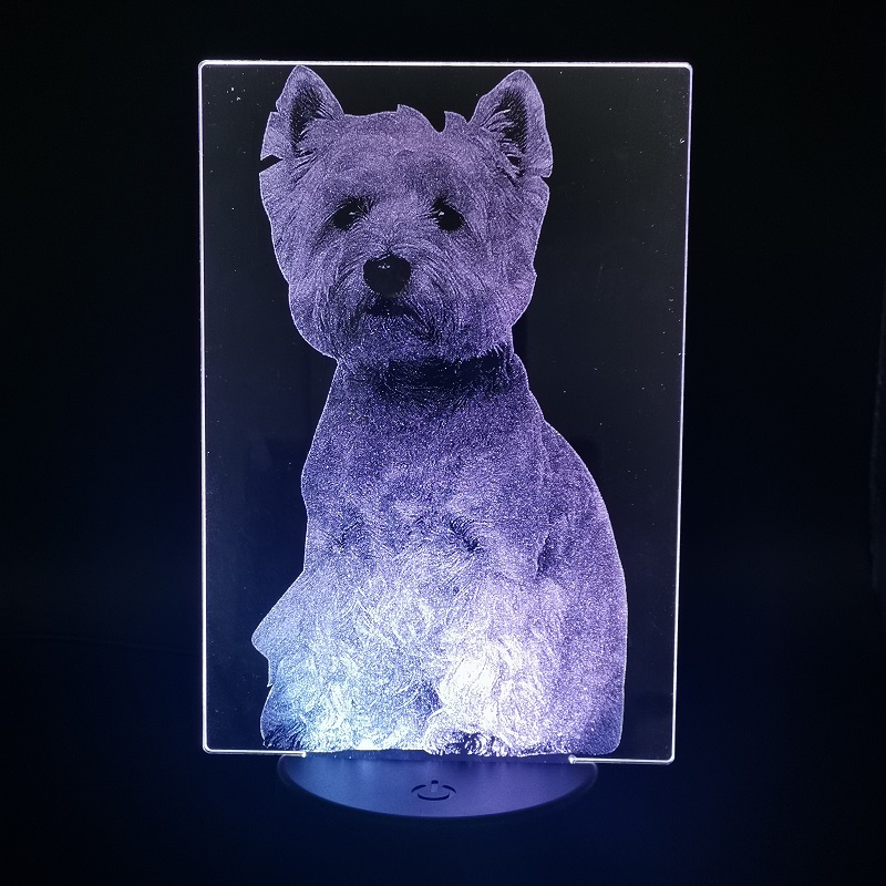 3D LED night light featuring a cute West Highland White Terrier design, perfect for kids' rooms or as a birthday gift  

Adorable Westie-themed 3D night light for children's bedrooms or bedside tab...