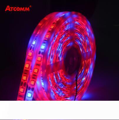 5M full-spectrum LED grow light strip with 5050 chips, ideal for hydroponic plants and greenhouses