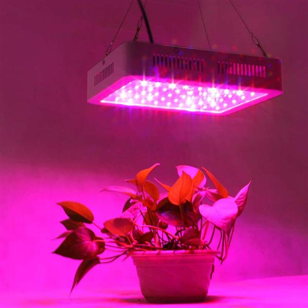 600W full-spectrum LED grow light for indoor plants, covering 380-730nm with white high-quality illumination