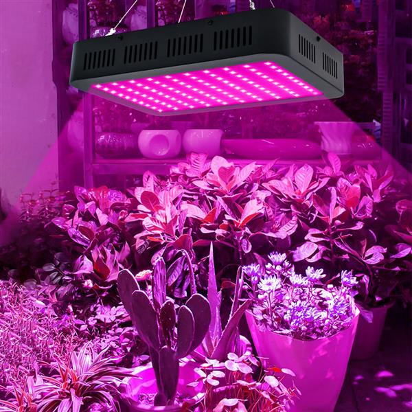 High-quality 1000W full-spectrum 3030 LED plant grow light with 100x10W chips, individually controllable black housing