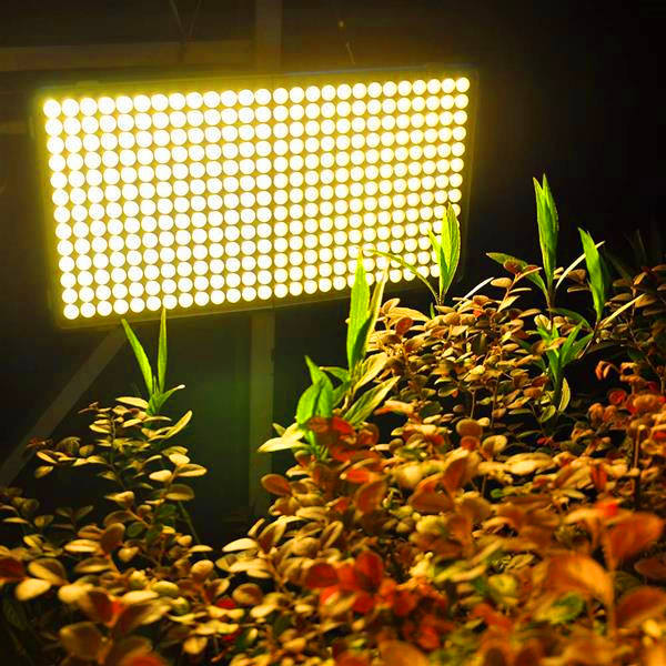 high-quality 300W square LED grow light with full spectrum, white light, silent operation, wide coverage, and CE/FCC/ROHS certifications