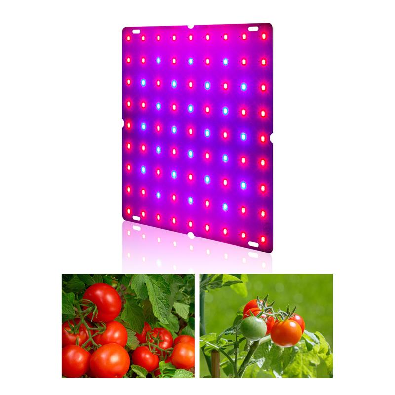 Lamp covers and shades for indoor plant growth with LED lights to enhance photosynthesis during germination, seedling, and flowering stages