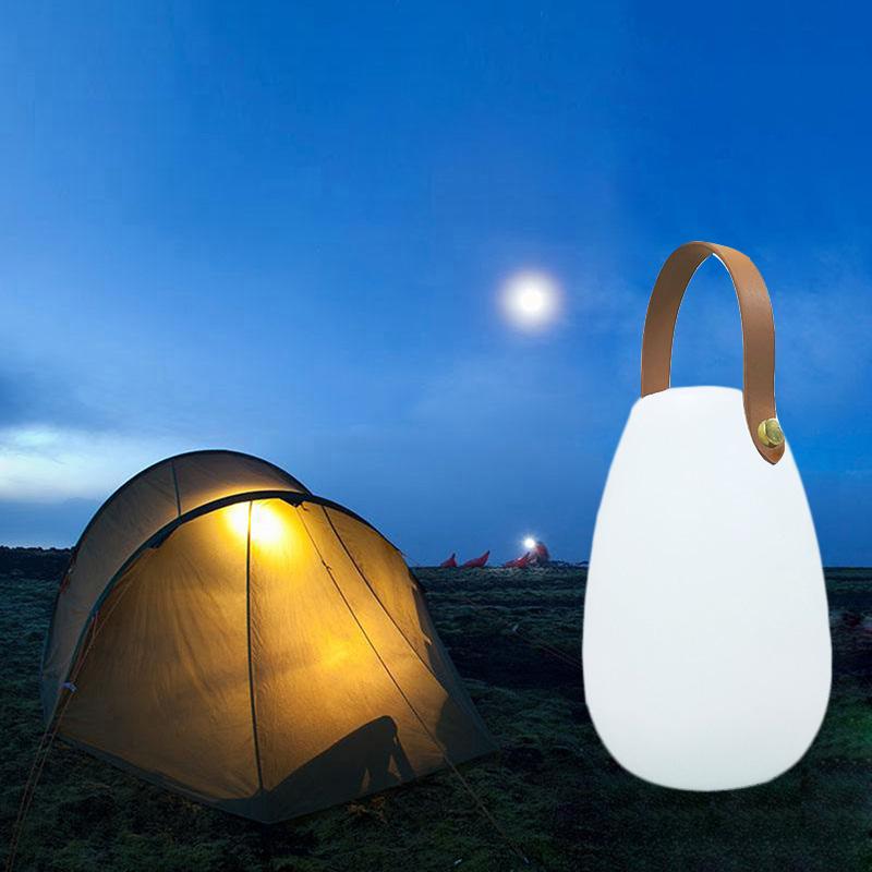 Lawn Lamps LED Garden Lights Indoor Outdoor Lighting Portable Table Lamp Waterproof Swimming Pool Party Bedroom Decorative  

LED garden and lawn lights for indoor and outdoor use, waterproof porta...