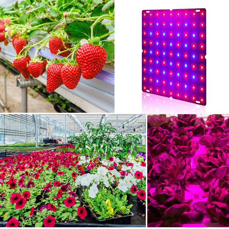 LED grow lights for indoor plants to enhance photosynthesis, aiding seed germination, seedling growth, and flowering