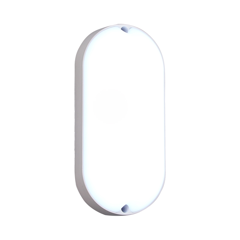 Modern waterproof LED ceiling and wall lamp for bathrooms, explosion and moisture resistant