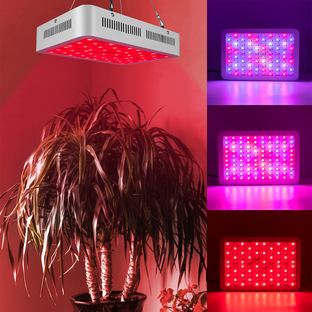 New 1200W dual-chip LED grow light with full spectrum (380-730nm) for plant cultivation