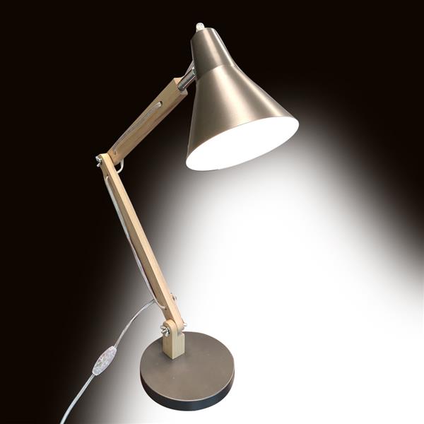 New stylish frosted metal and wood study lamp with US plug and included light source