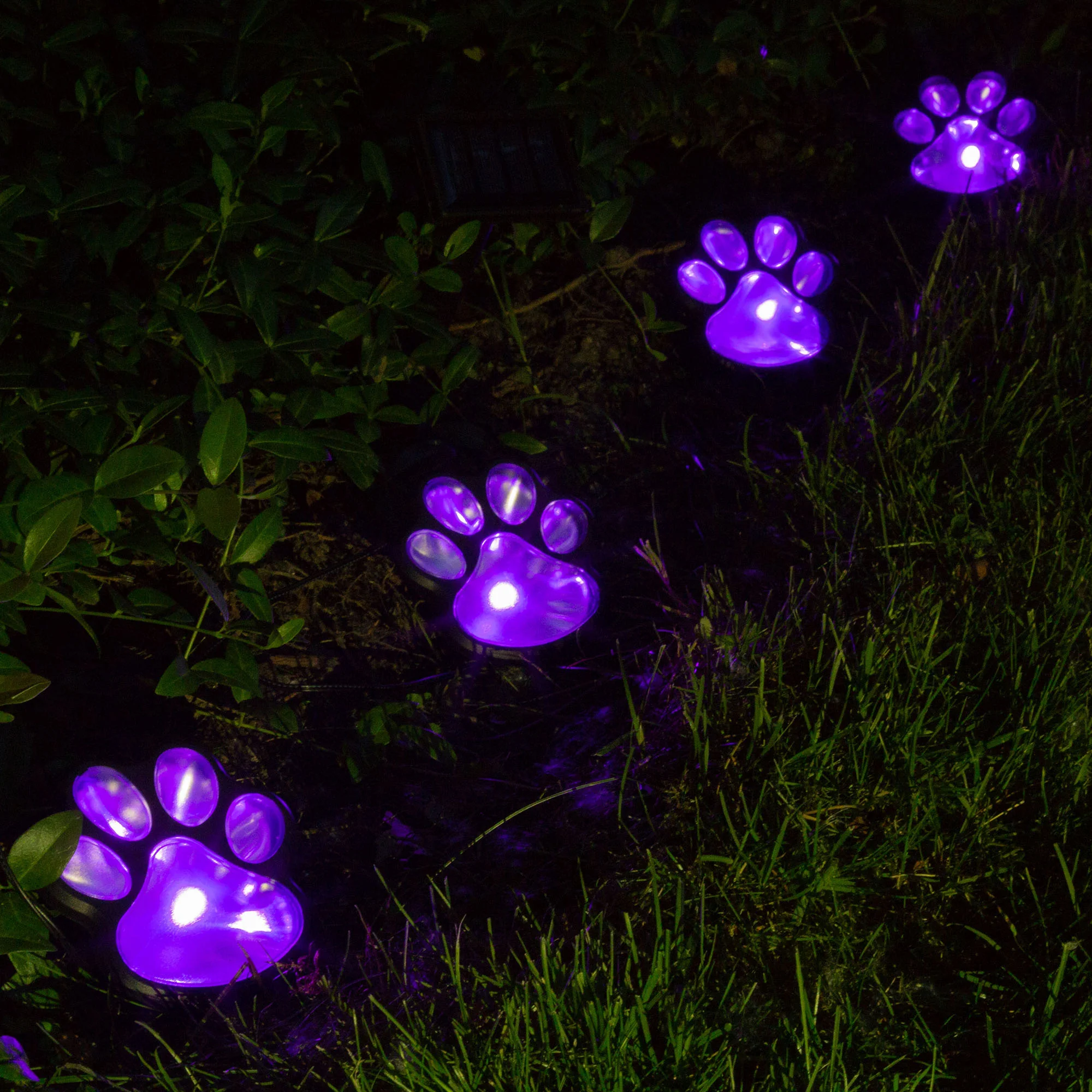 Paw Print Solar Ground Lights - Set of 4 - Purple