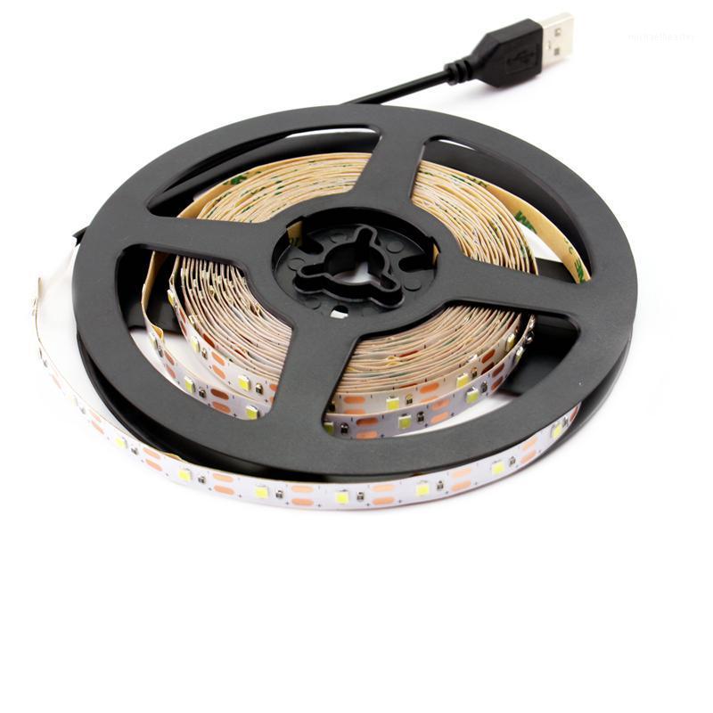 Strips USB 5V Neon LED Light Strip SMD 2835 in 50cm to 5M lengths with 60 LEDs per meter for TV backlighting