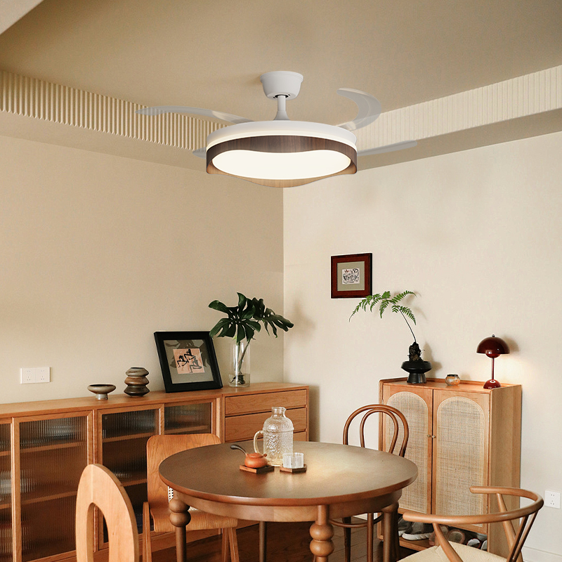 Stylish ceiling fan light featuring integrated LED for better illumination and airflow